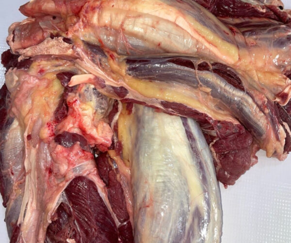 0eac92943dc9e68844b16747eae726afe49b9a61