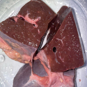 Cow Liver