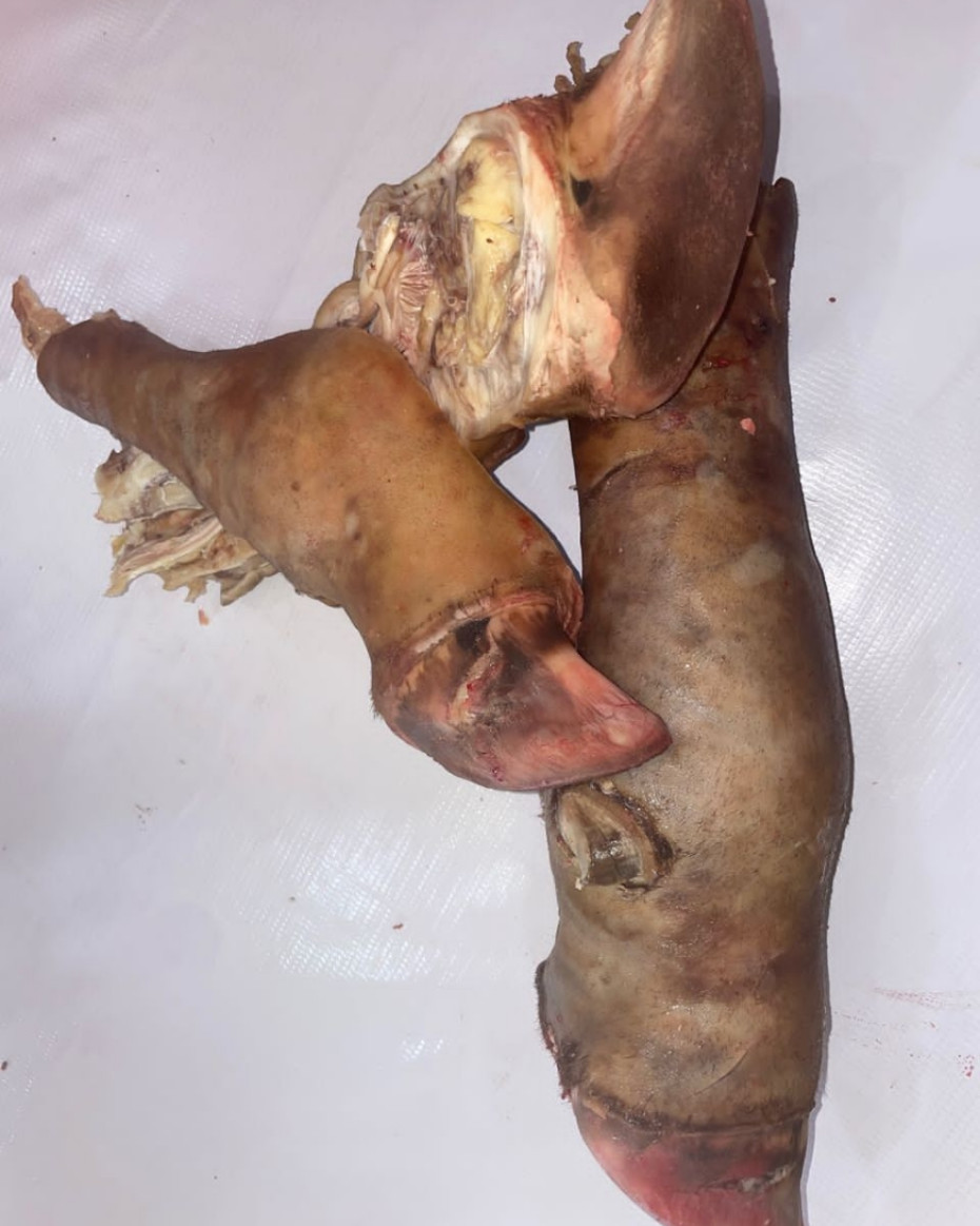 Cow Leg (Shank & Paw) - Image 2