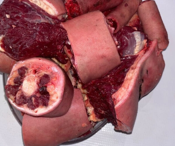 7f1b210fdf7291785ea66ca0551225b2acf4525c