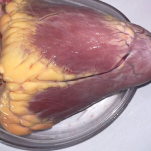 Cow Heart