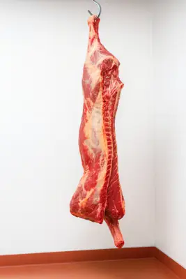 Cow Sharing (Half-Cut)