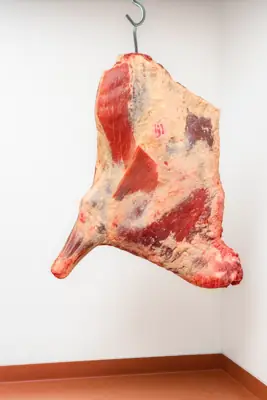 Cow Sharing (Quarter-Cut)