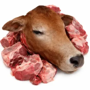 Deboned Cow Head