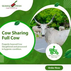 Cow Sharing Full Cow