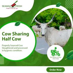 Cow Sharing Half Cow