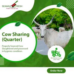 Cow Sharing Quarter Cow